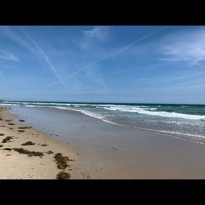 Meet your Posher, Dawn